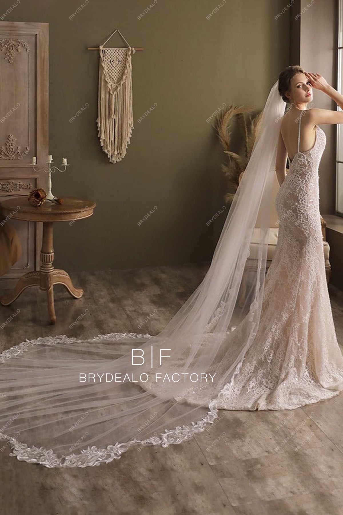 Long Bridal Veil Cutout Lace Edge Wedding Veil Brydealo 