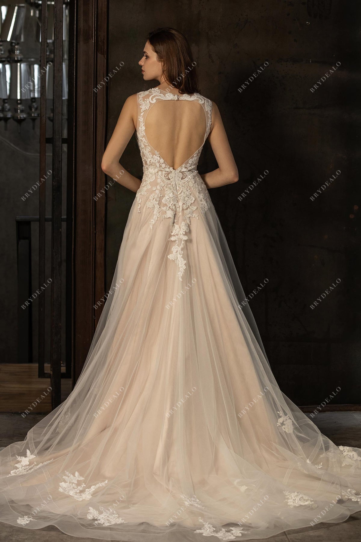 Graceful Lace V-neck Open Back Sleeveless Wedding Dress  Brydealo