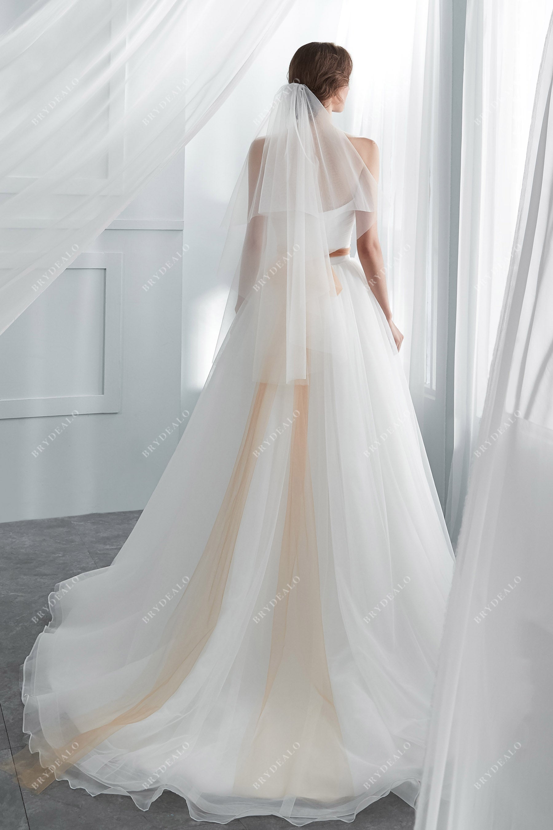 Strapless  A-line Spring Tulle Bridal Gown