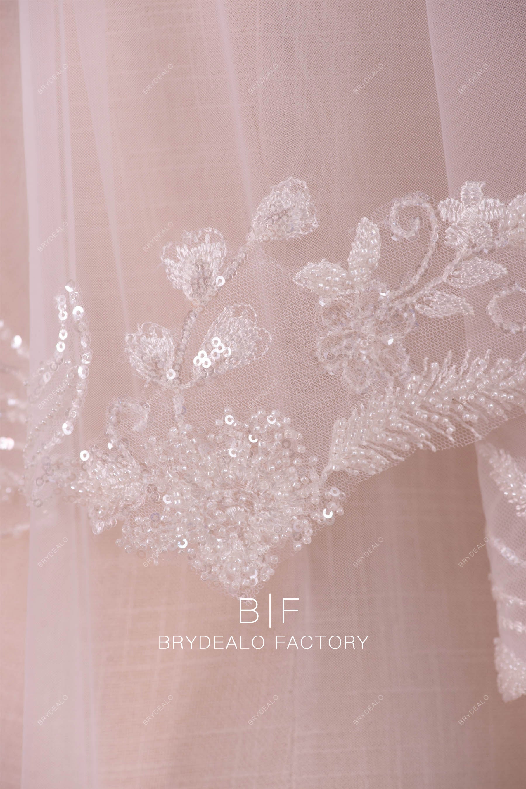 beautiful beaded lace veil