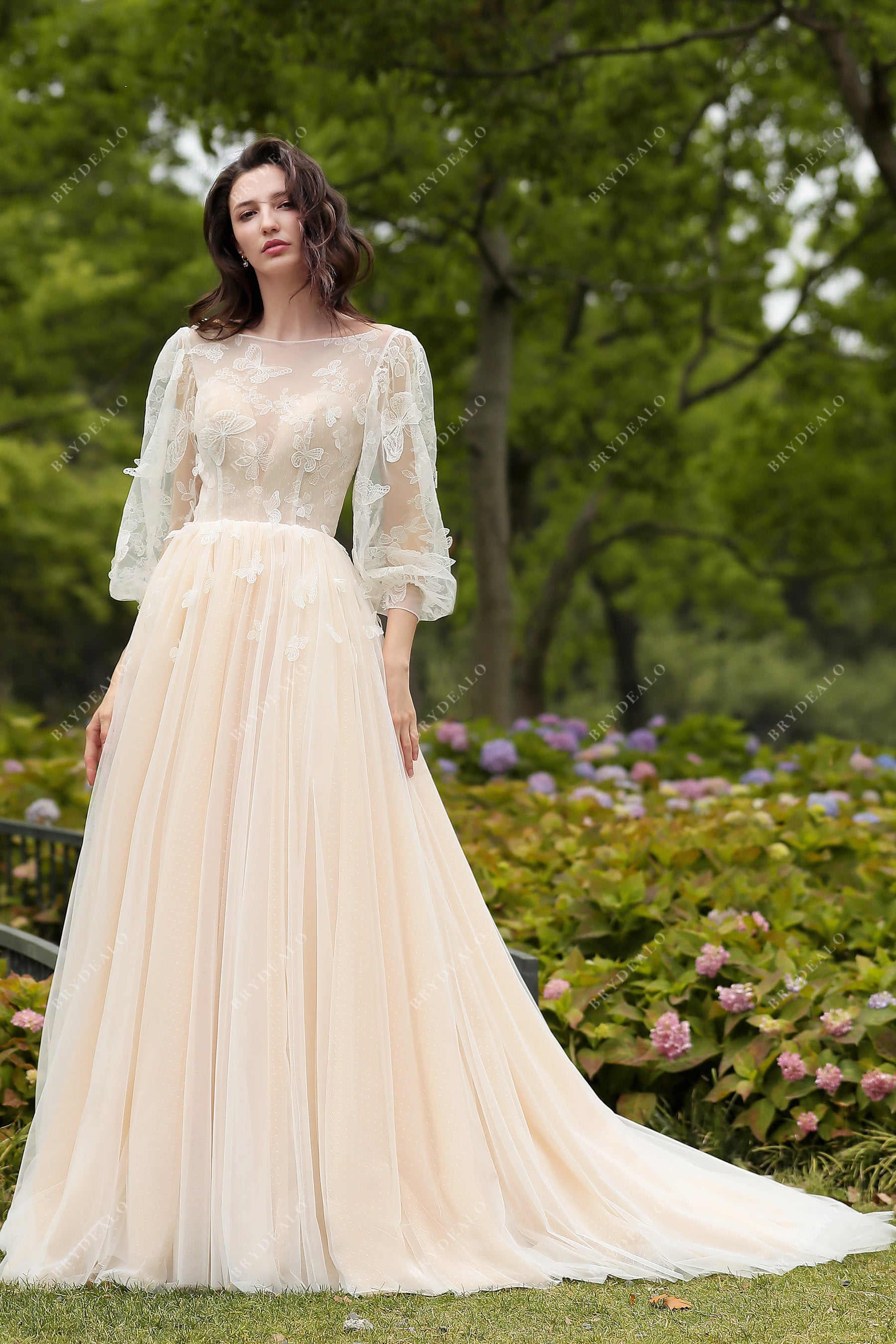 champagne lace tulle wedding dress