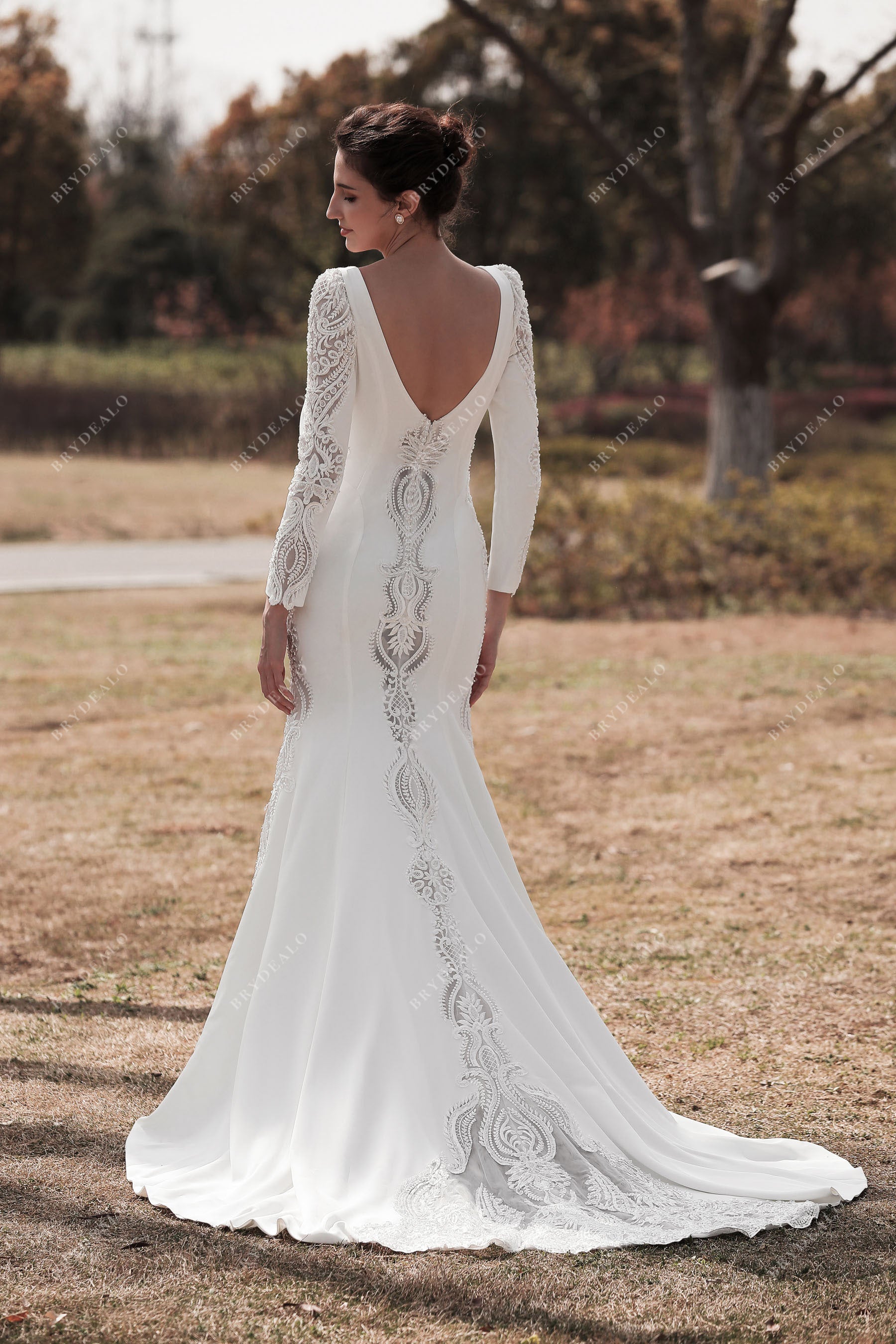 long sleeves v-back lace cutout bridal dress