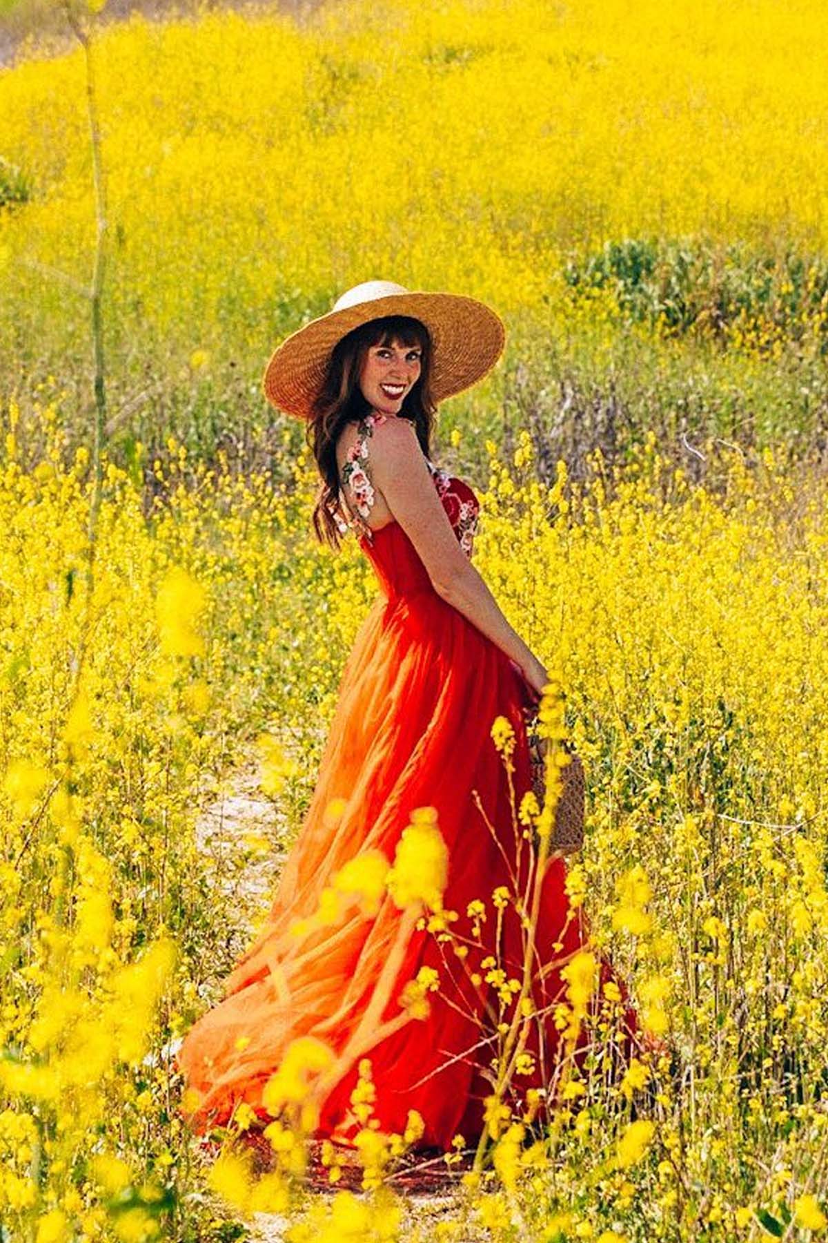 red Aline formal dress customer review