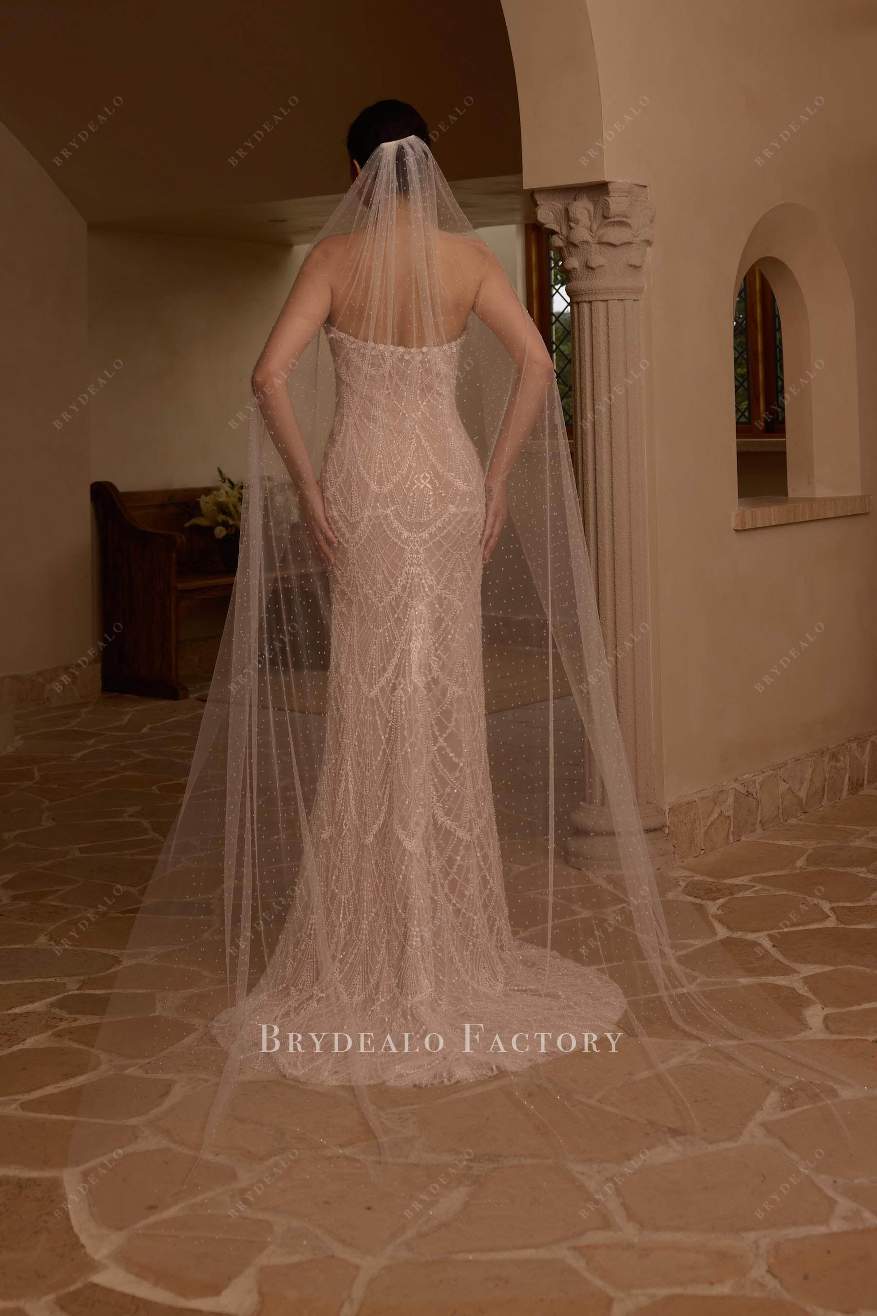 single tier cathedral length bridal veil