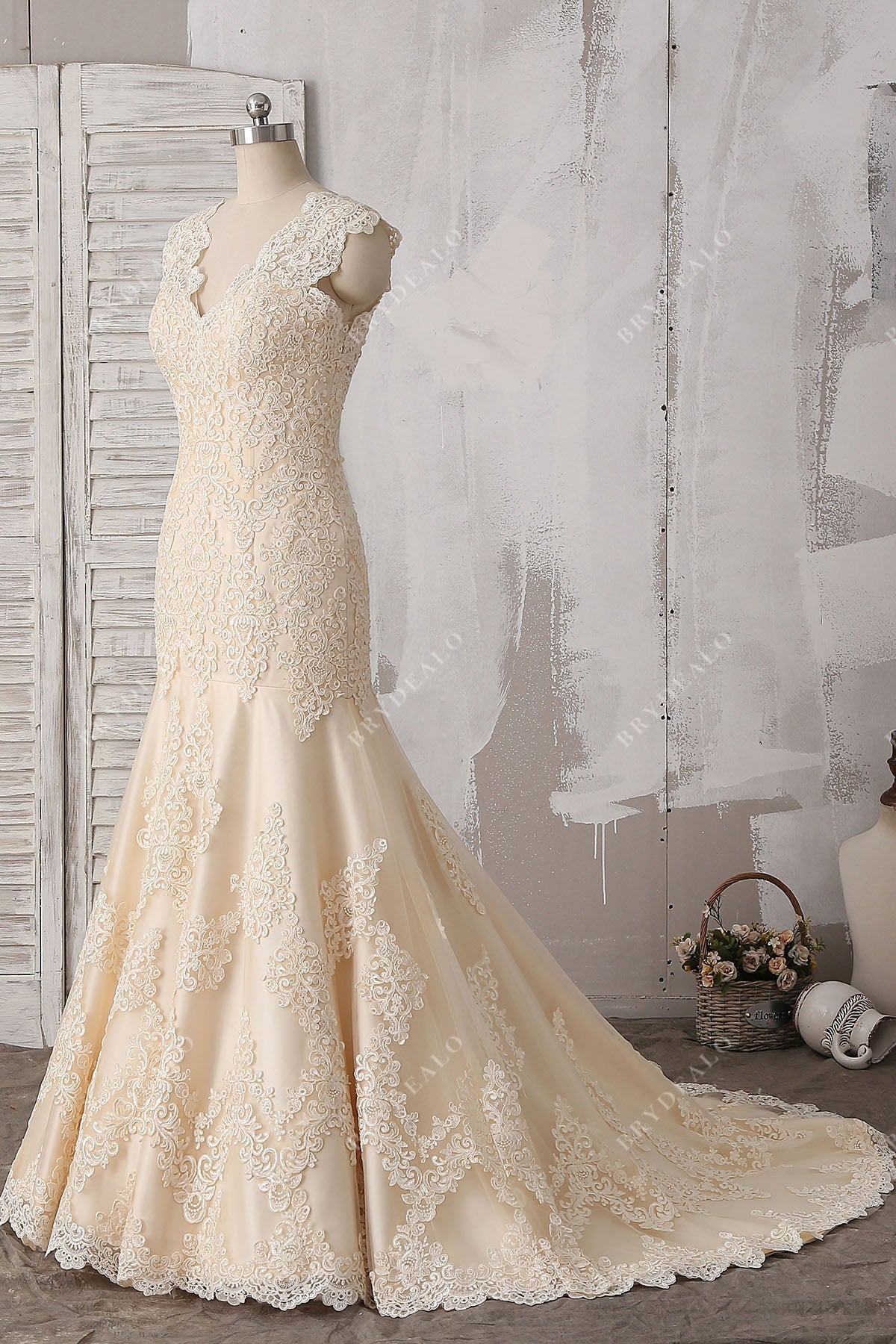 elegant sleeveless champagne lace wedding gown