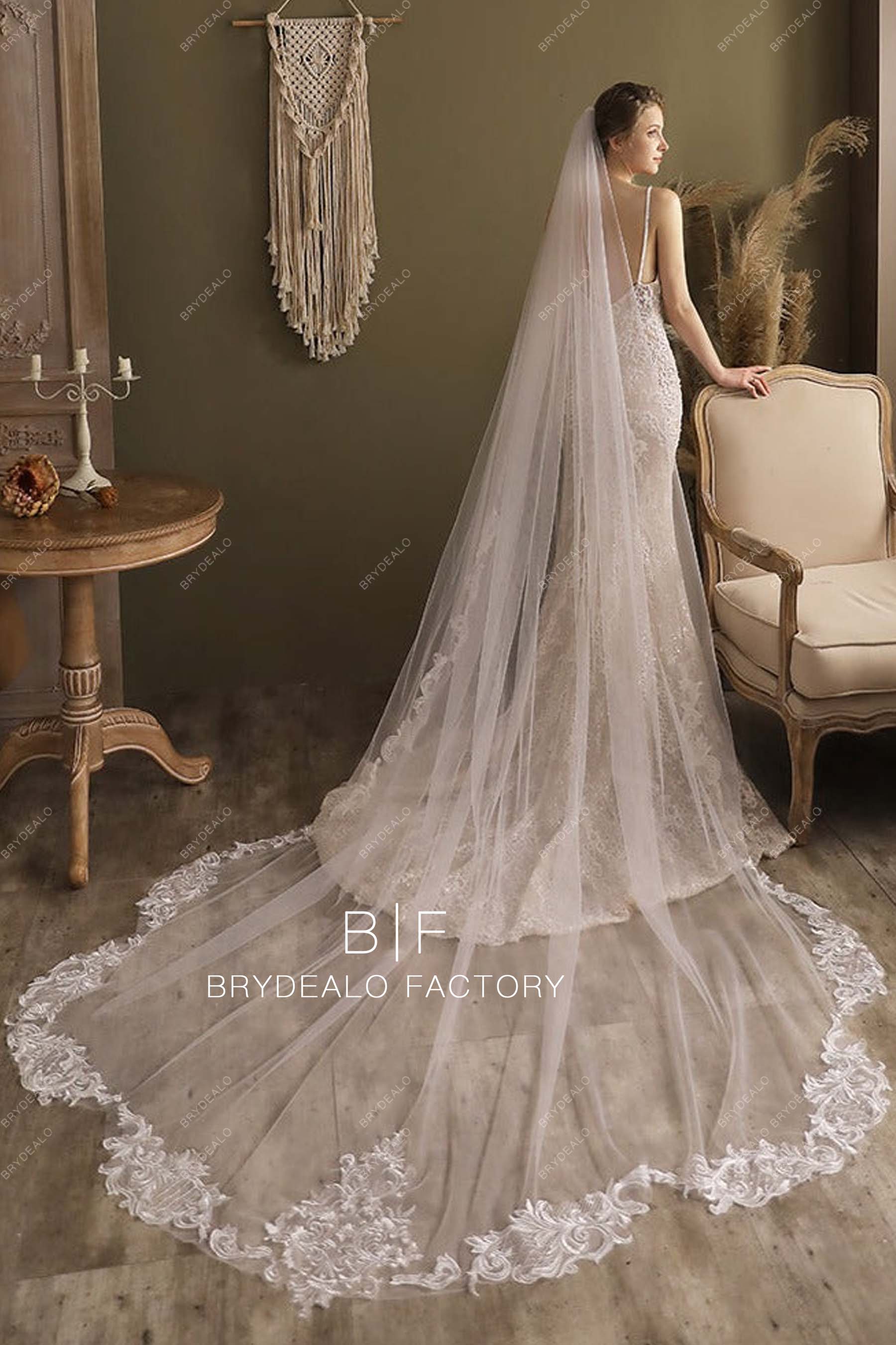 Cutout Lace Edge Bridal Veil 