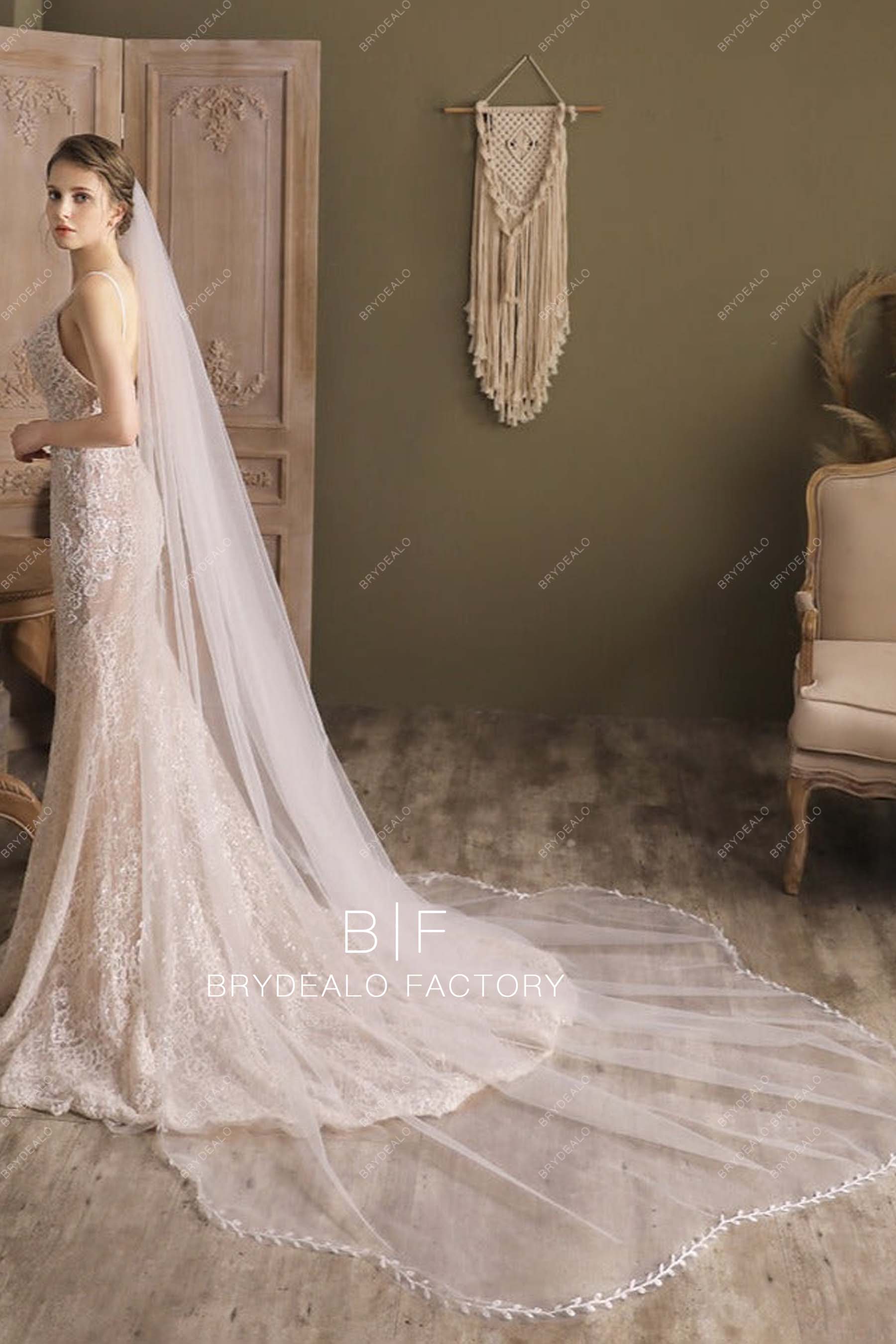Elegant Cathedral Length Wedding Veil