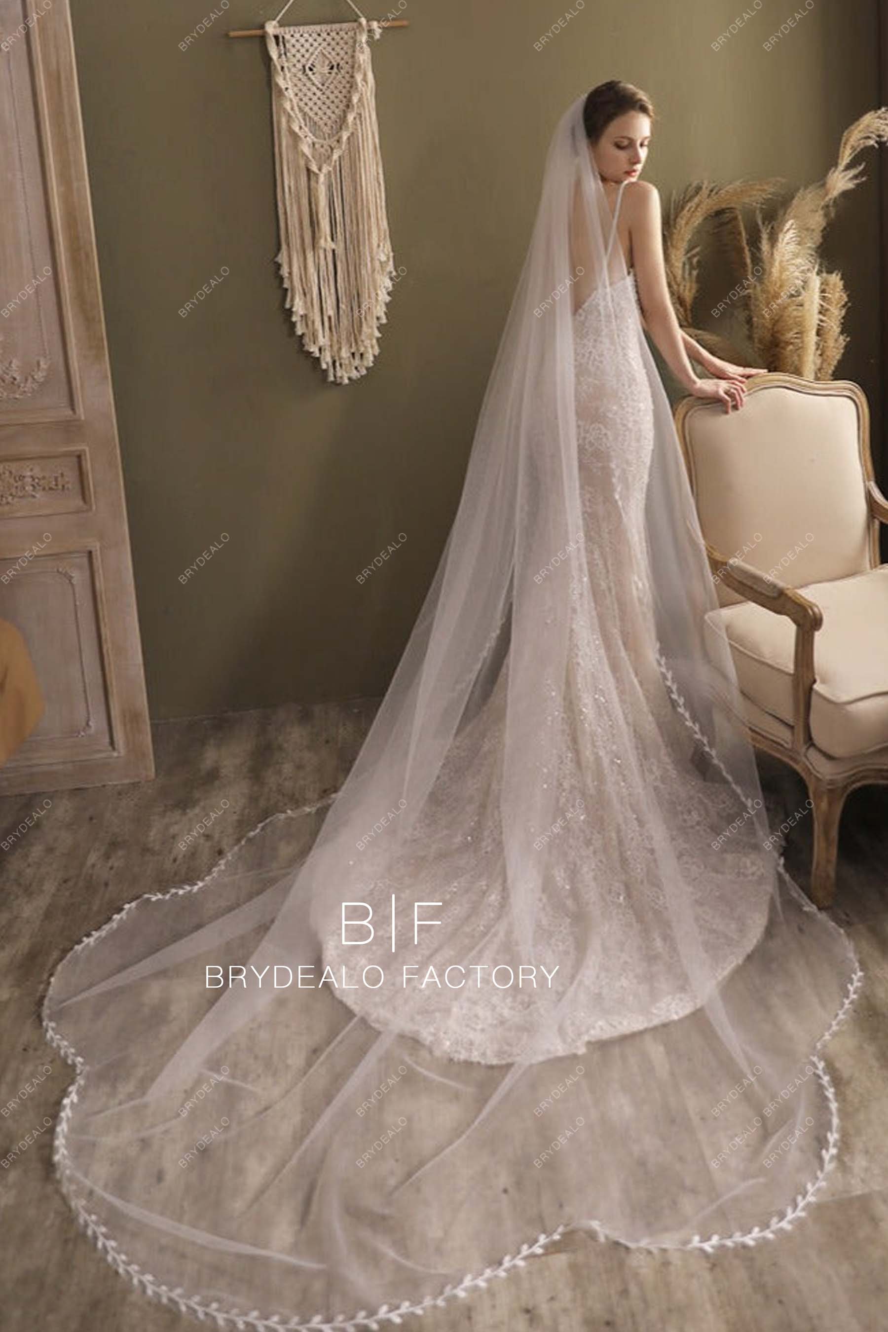 Fashionable Cutout Edge Bridal Veil