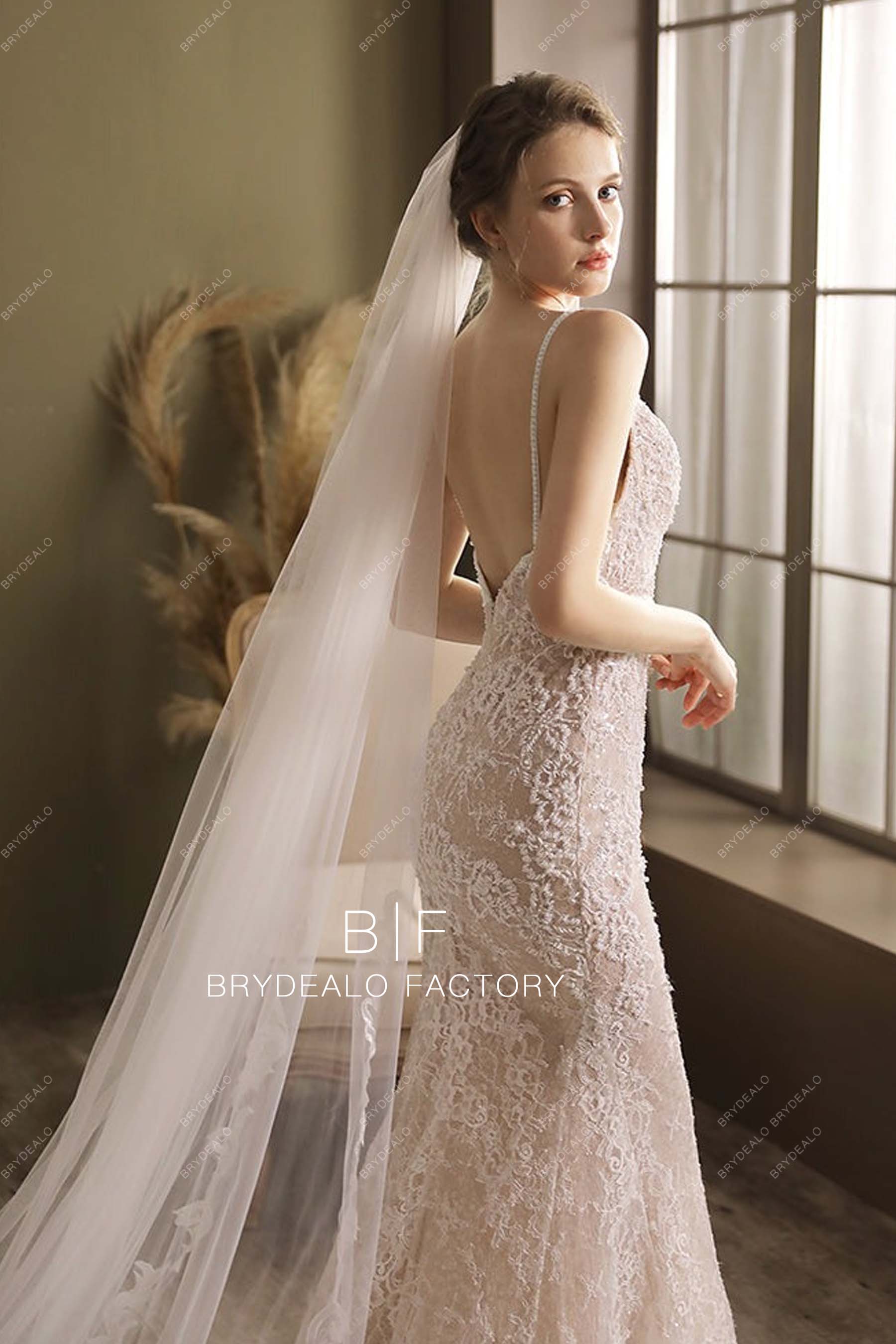 Ethereal Tulle Long Bridal Veil