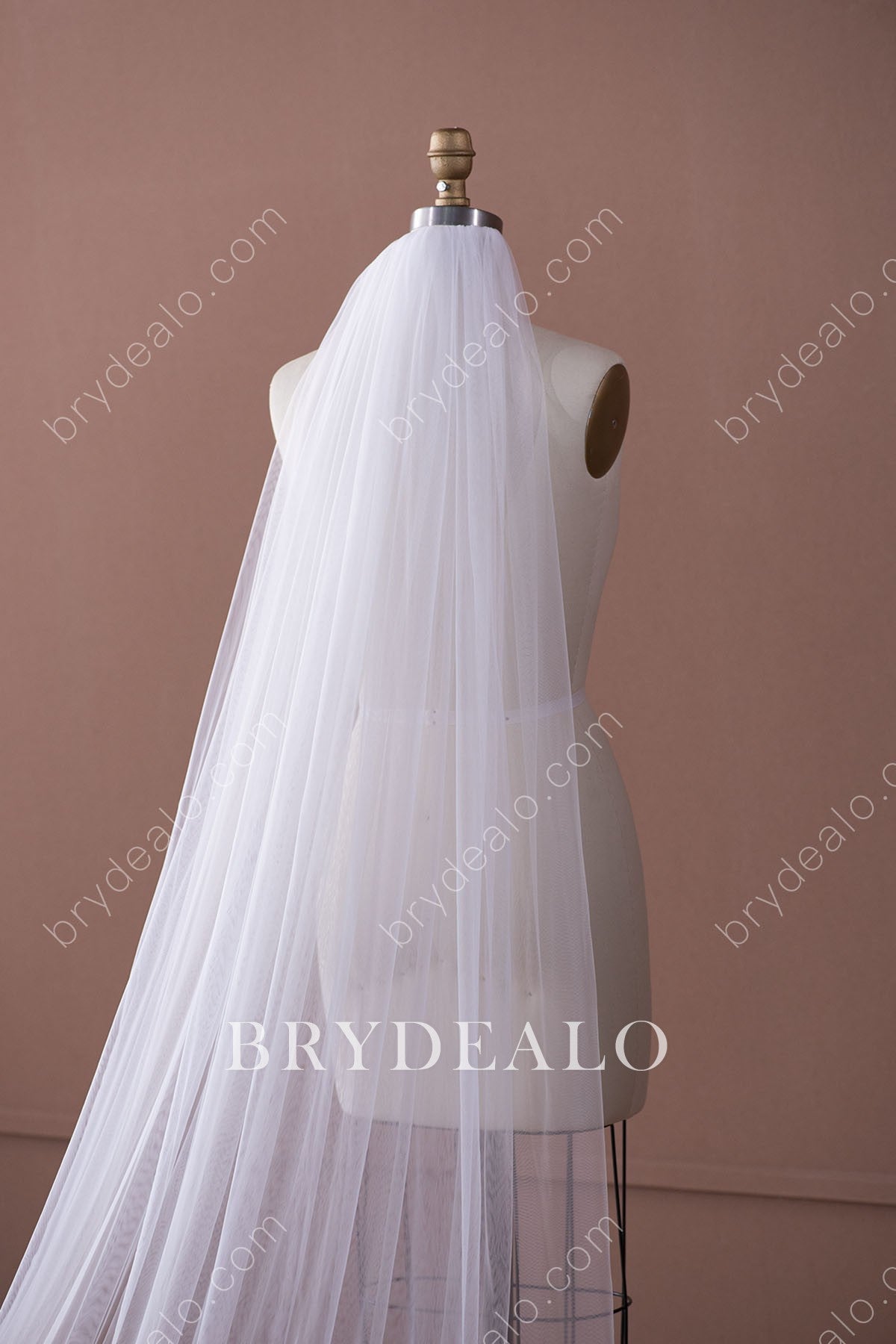 elegant long tulle bridal veil