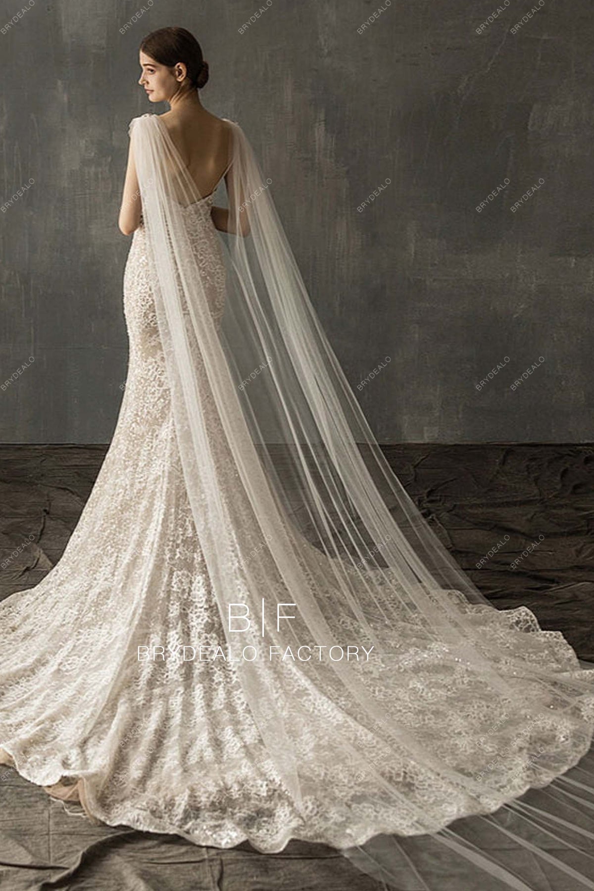 Graceful Cathedral Shoulder Veil | Brydealo