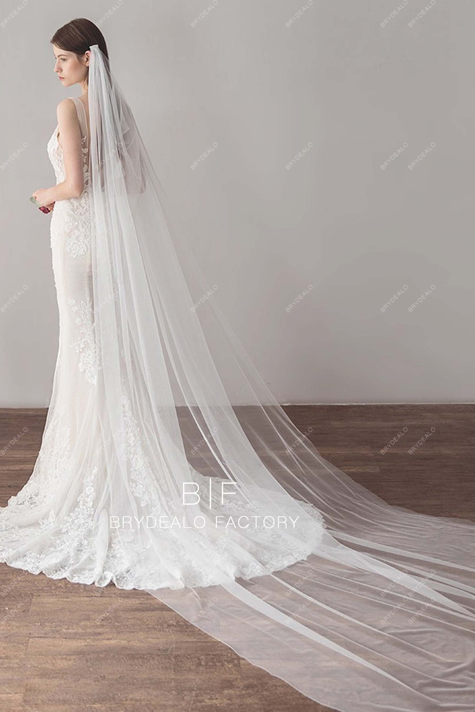 Cathedral Length Wedding Veil 
