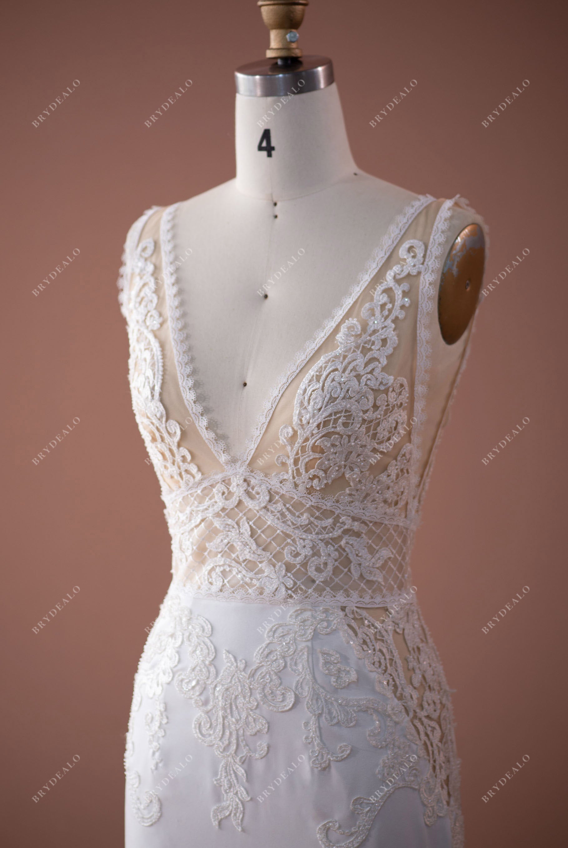 Illusion V-neck Lace Sleeveless Designer Alluring Wedding Gown