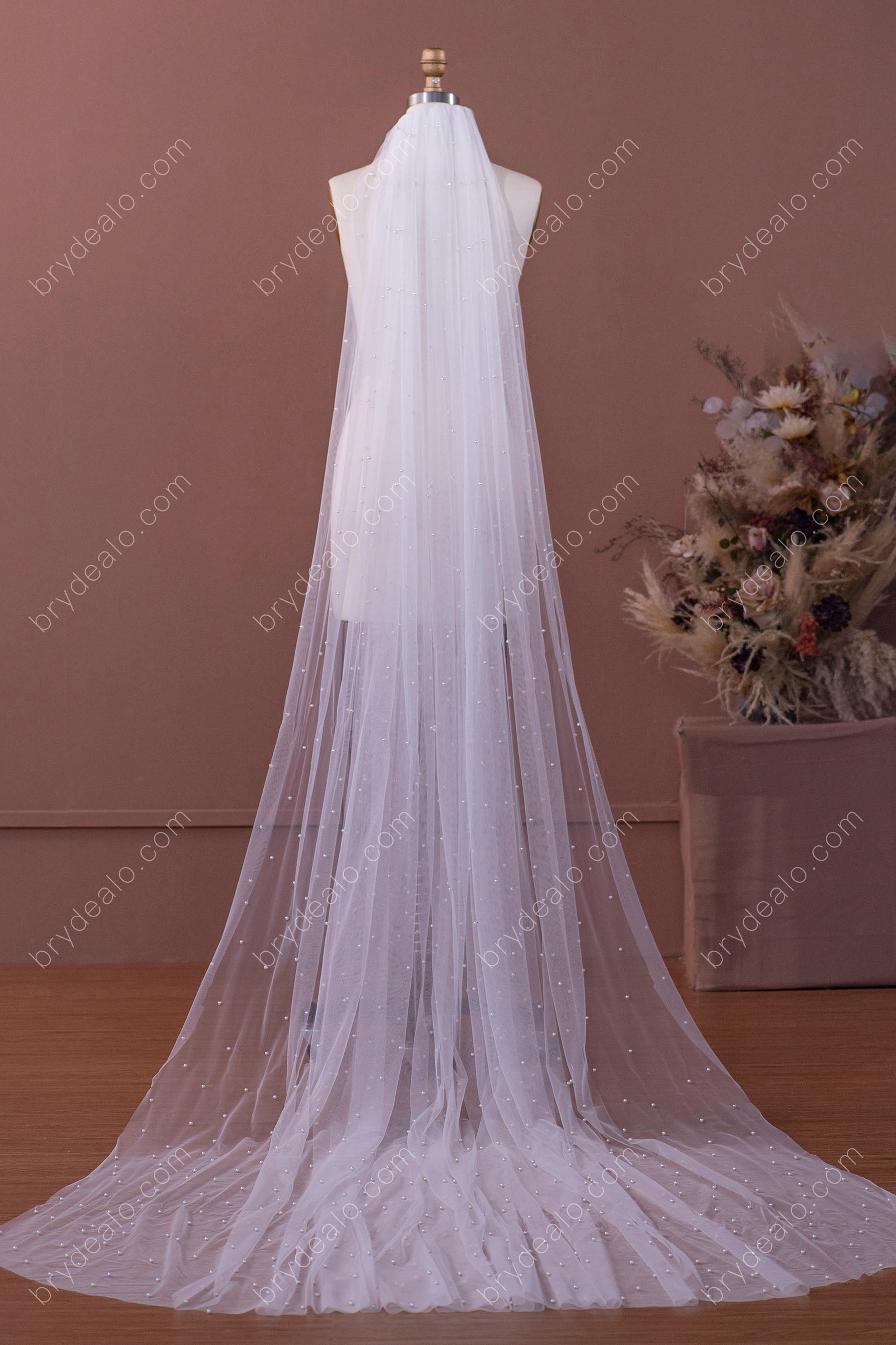 Elegant Pearls Cathedral Length Bridal Veil