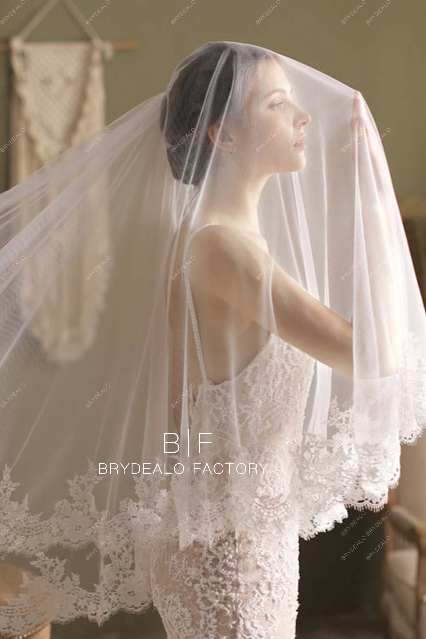  Lace Trim bridal Veil 