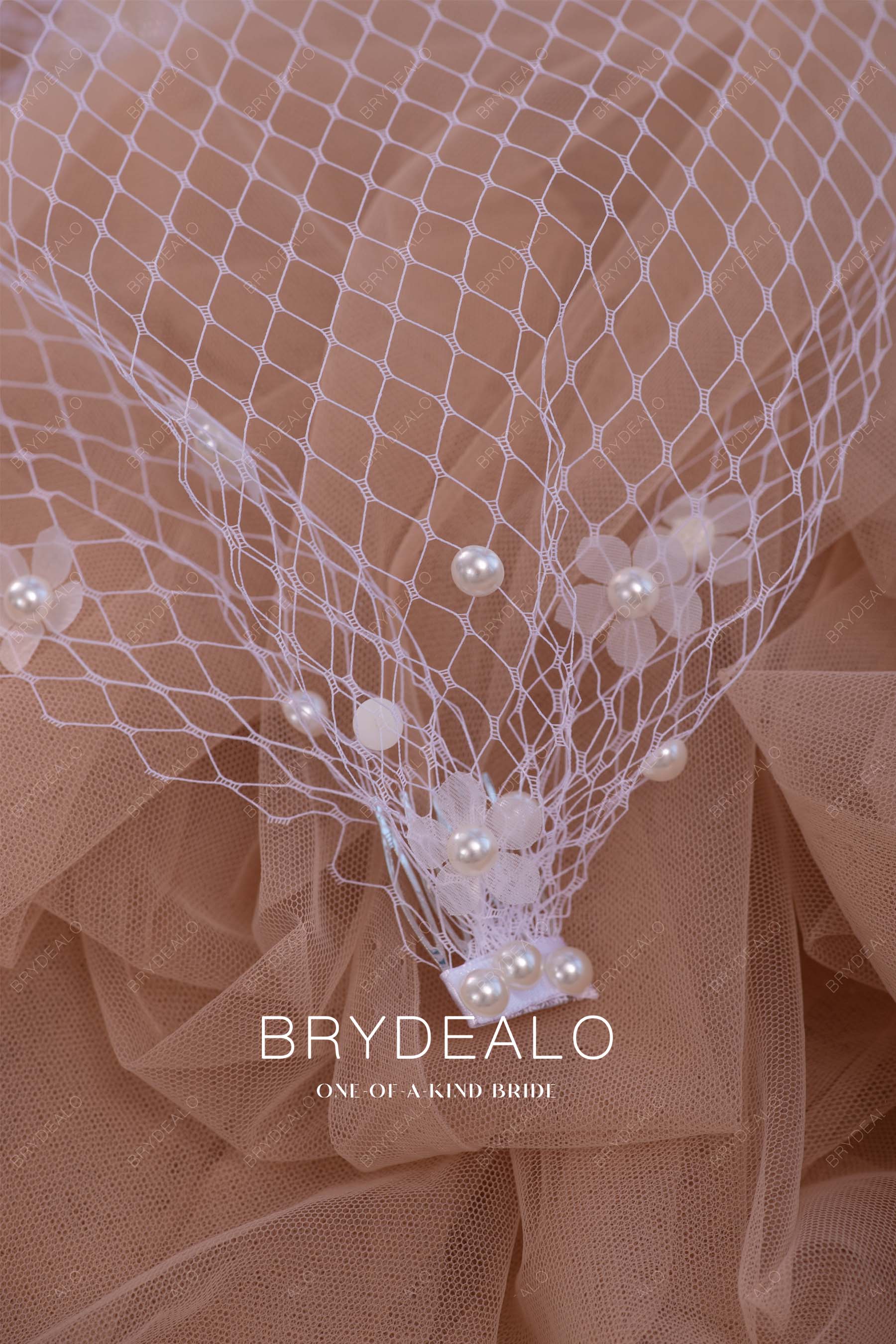 hollywood net birdcage veil with combs