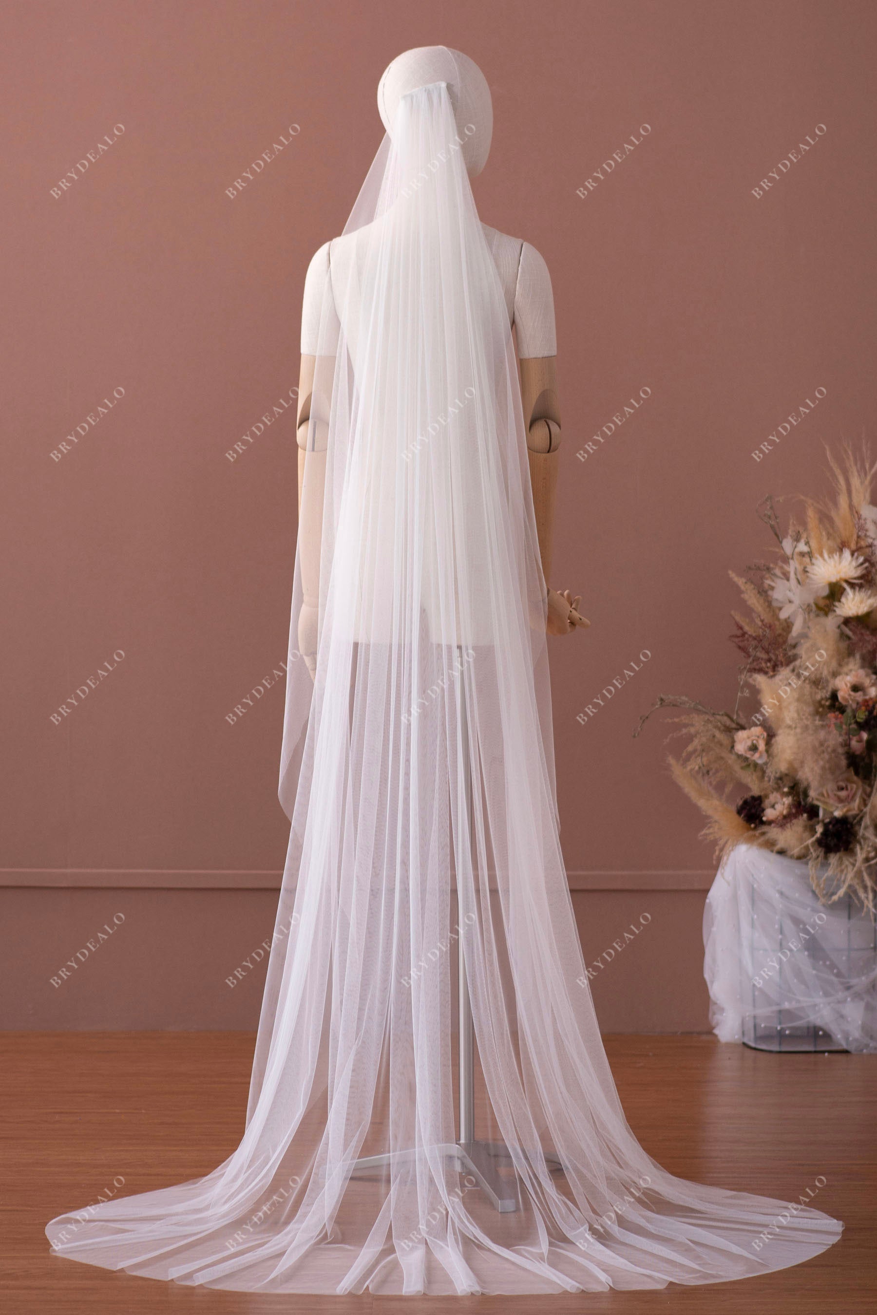Simple Net Chapel Length Elegant Bridal Veil