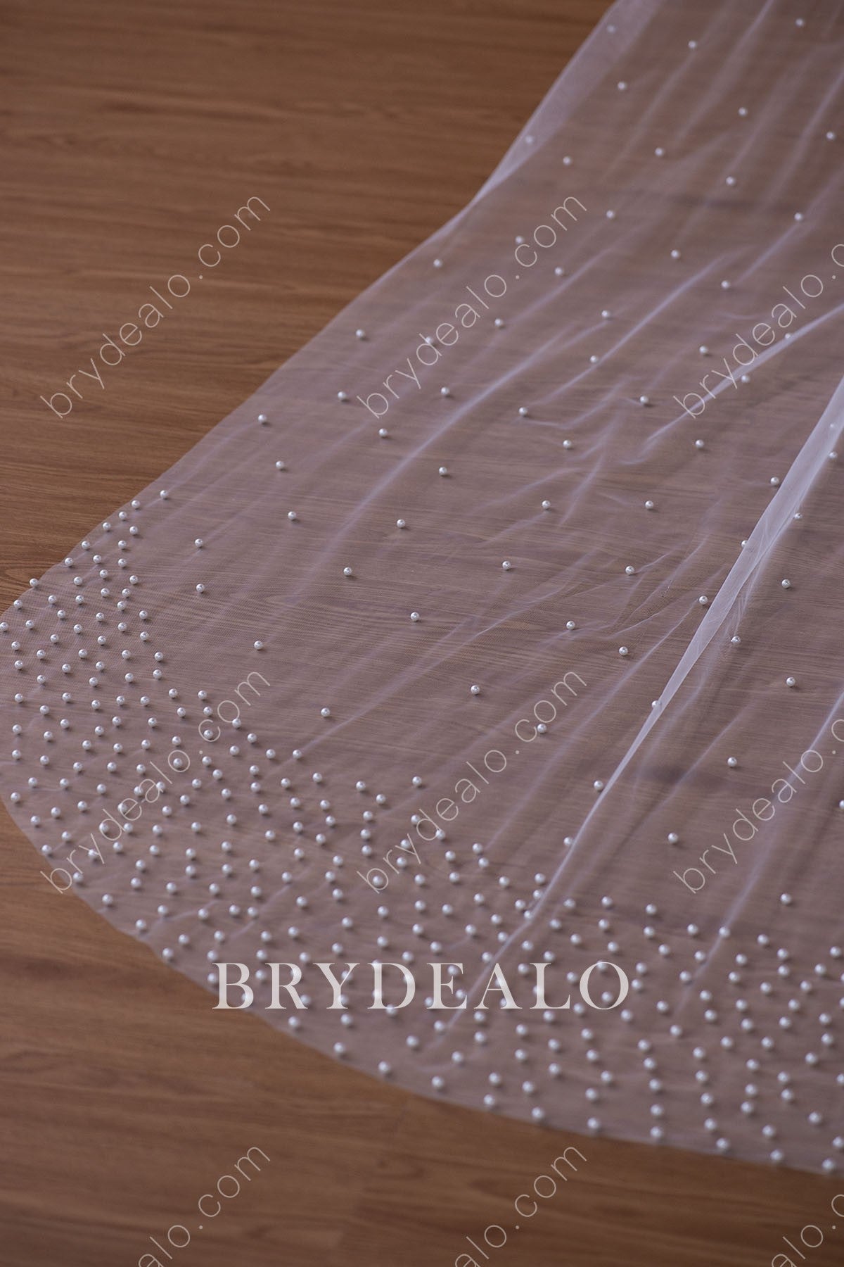 elegant cathedral length wedding veil