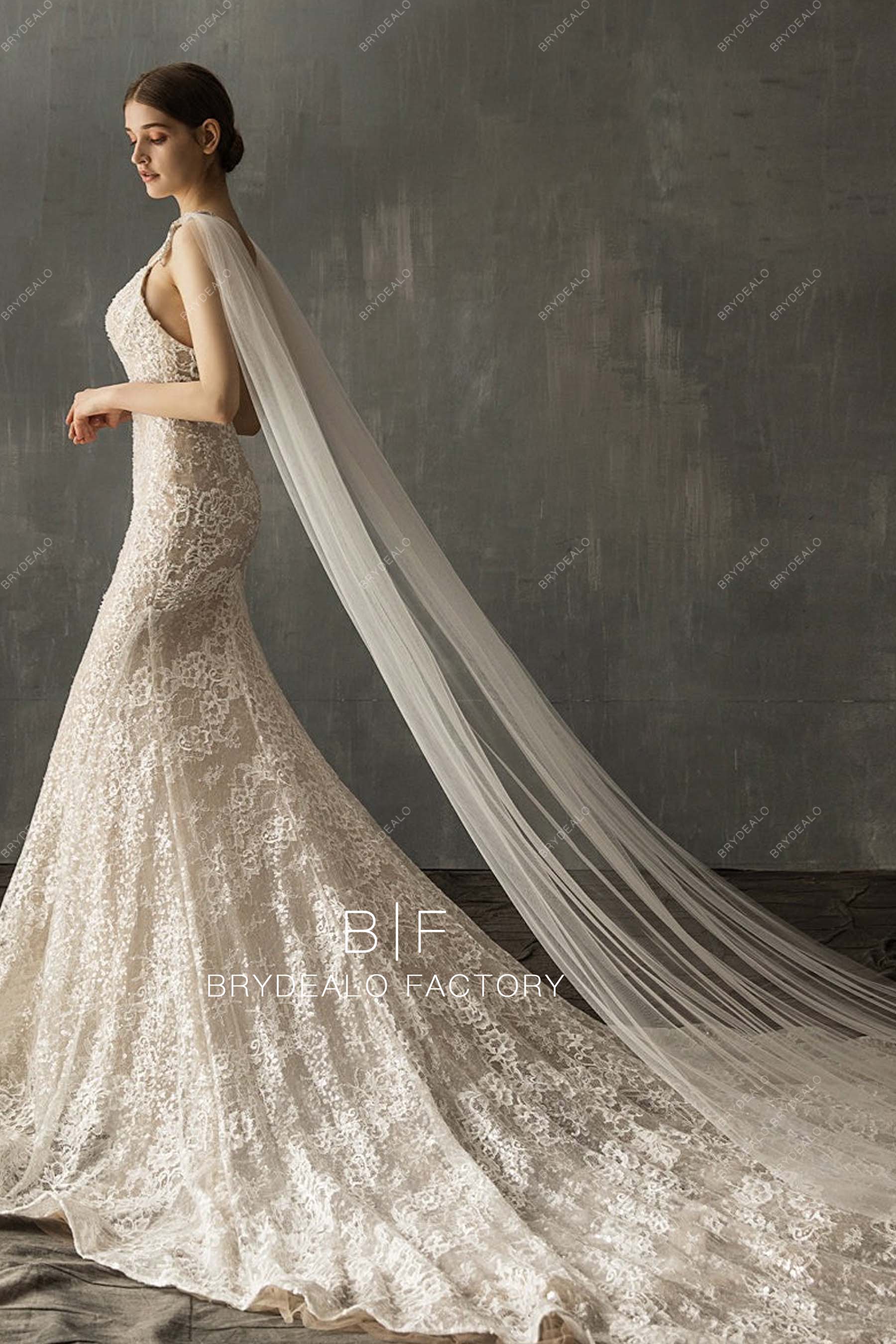 Graceful Cathedral Shoulder Veil | Brydealo