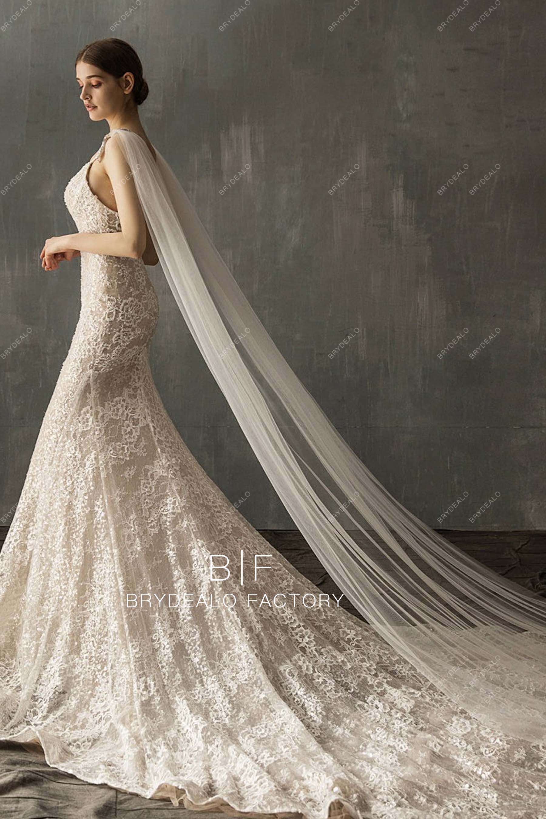 Elegant Cathedral Length Shoulder Veil 