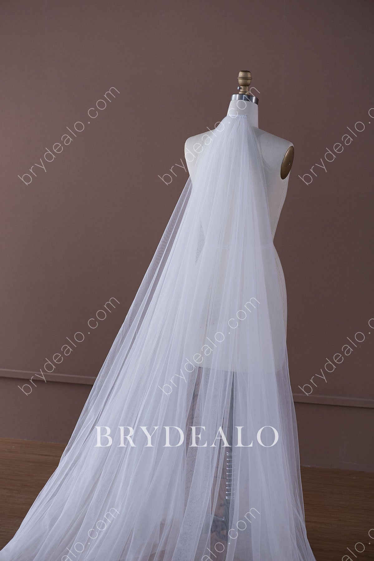 Timeless Two-Tier Chapel Length Wedding Veil