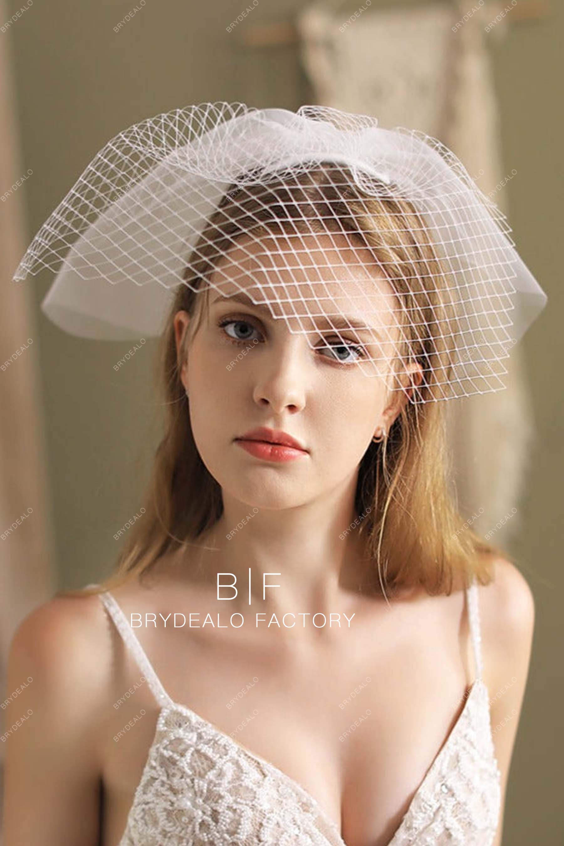 vintage tulle birdcage veil