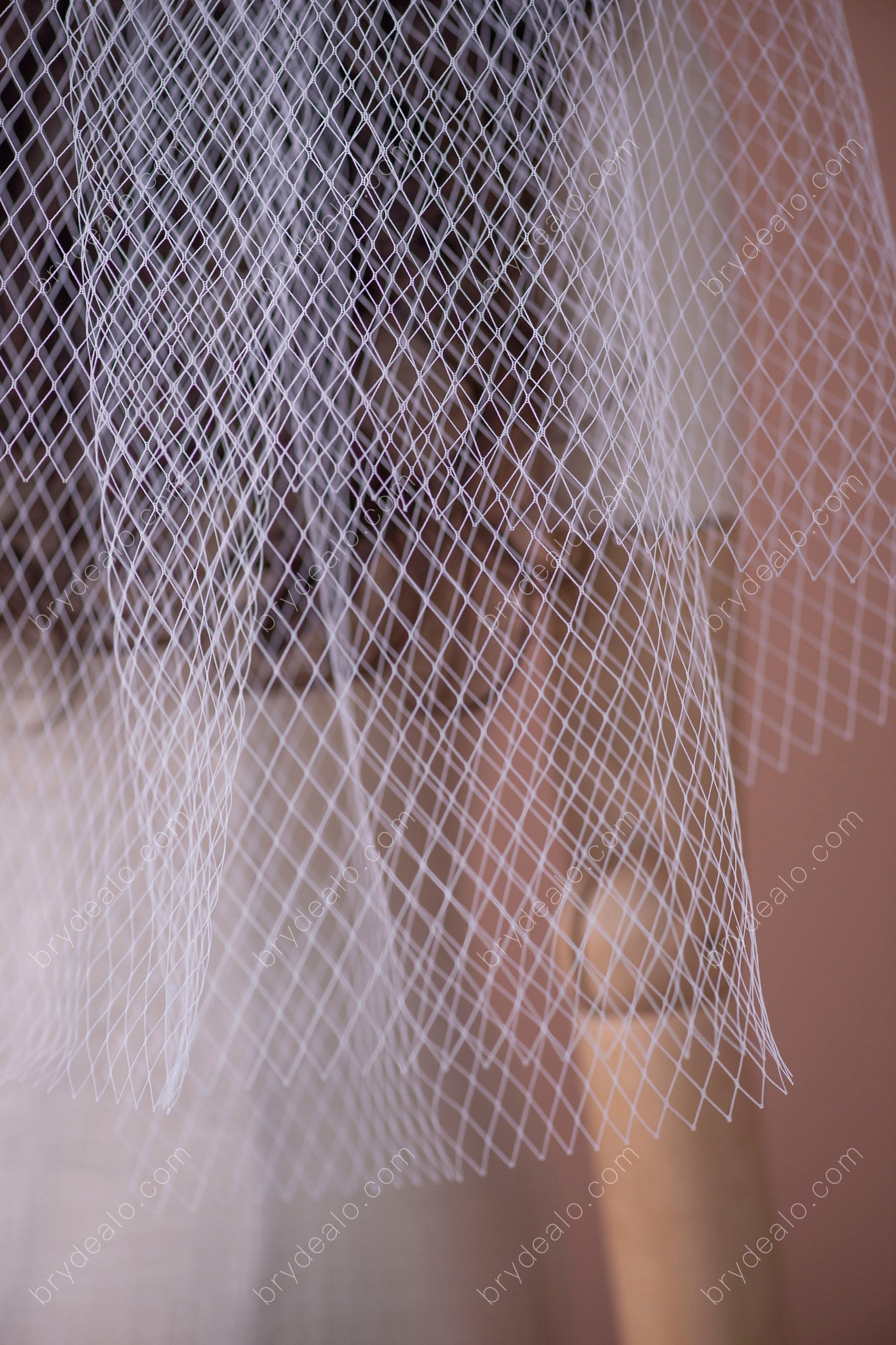 Unique Rhombic Net Elbow Bridal Veil